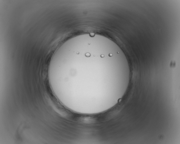 X0000113280165200909140949