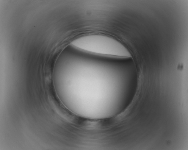 X0000113280170200909140949