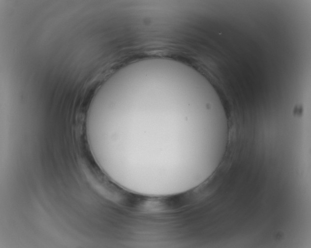 X0000113280171200909140949