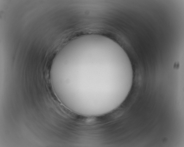 X0000113280173200909140949