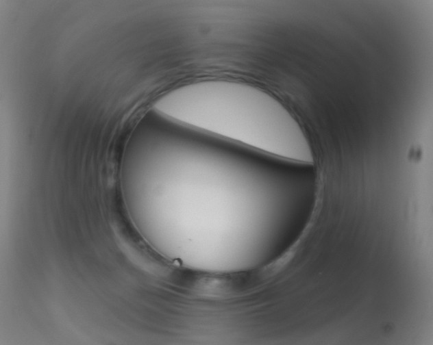 X0000113280174200909140949