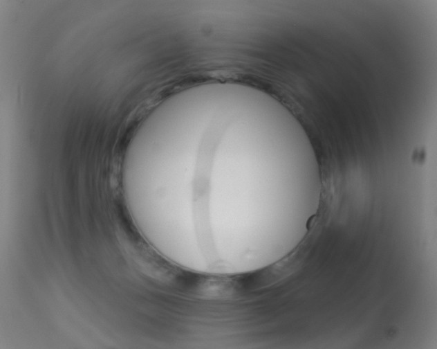 X0000113280175200909140949