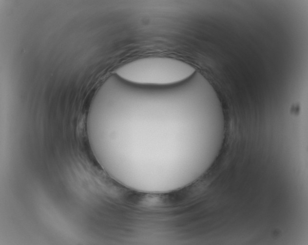 X0000113280177200909140949