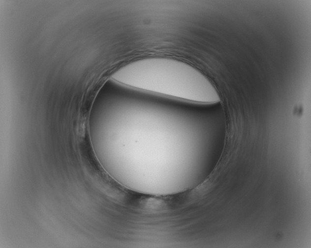 X0000113280180200909140949