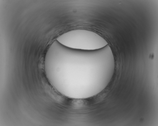 X0000113280181200909140949