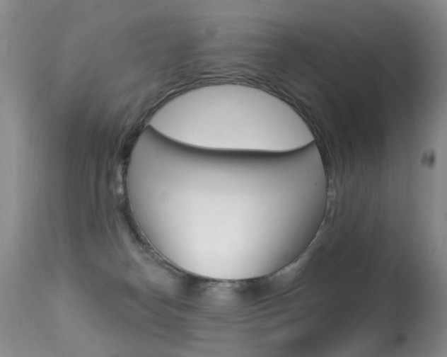 X0000113280182200909140950