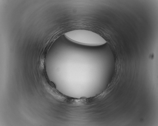 X0000113280188200909140950