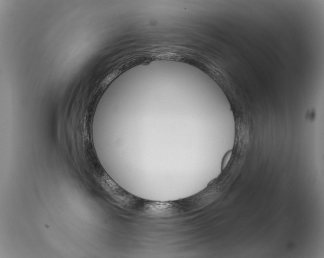 X0000113280189200909140950