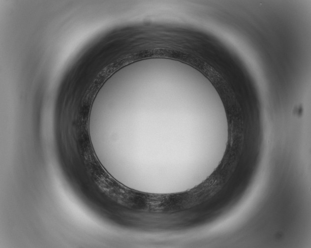 X0000113280190200909140950