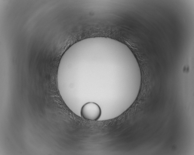 X0000113280192200909140950