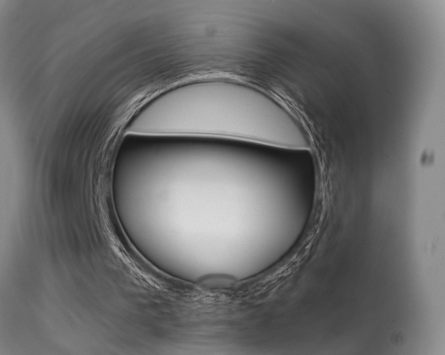X0000113280193200909140949