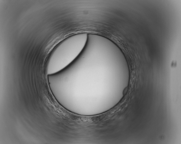 X0000113280194200909140949