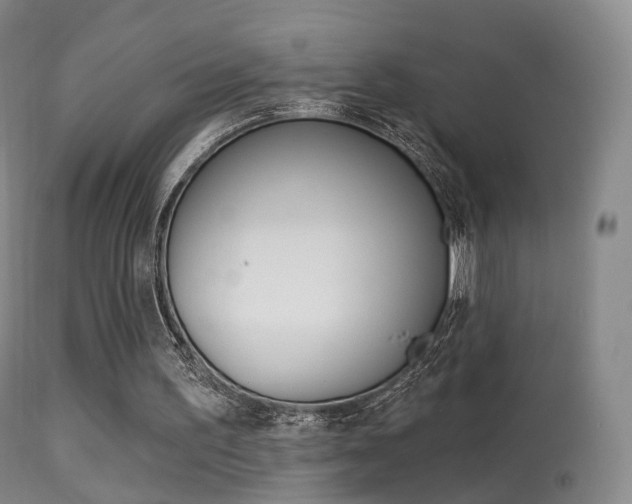 X0000113280195200909140949