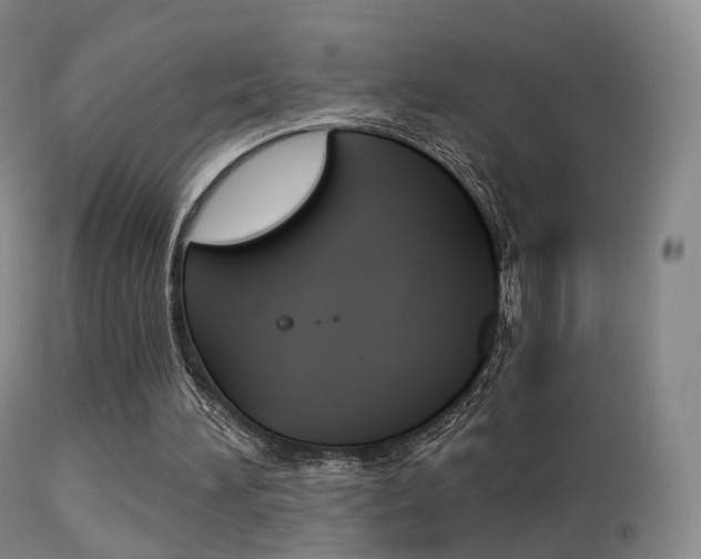 X0000113280196200909140949