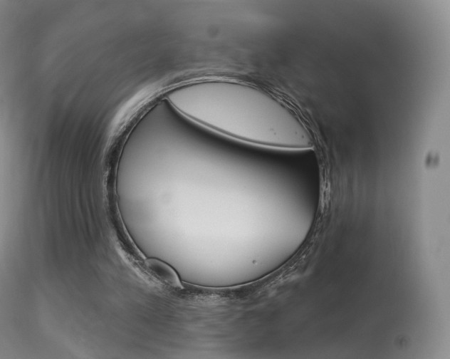 X0000113280197200909140949