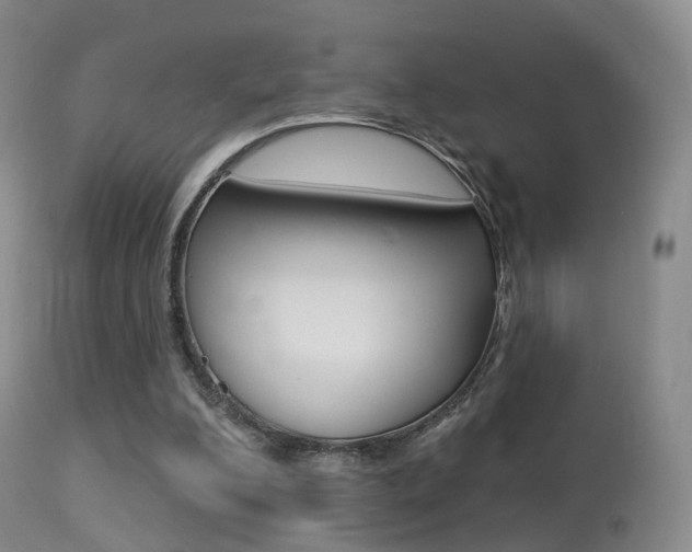 X0000113280200200909140949