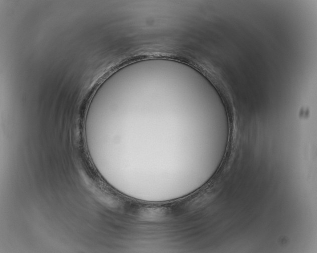 X0000113280202200909140949
