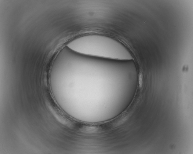 X0000113280205200909140949