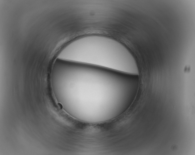 X0000113280207200909140949