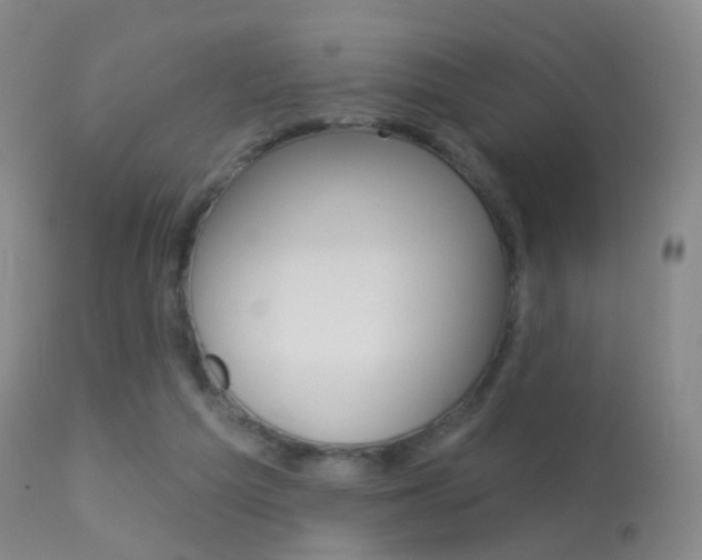 X0000113280209200909140949