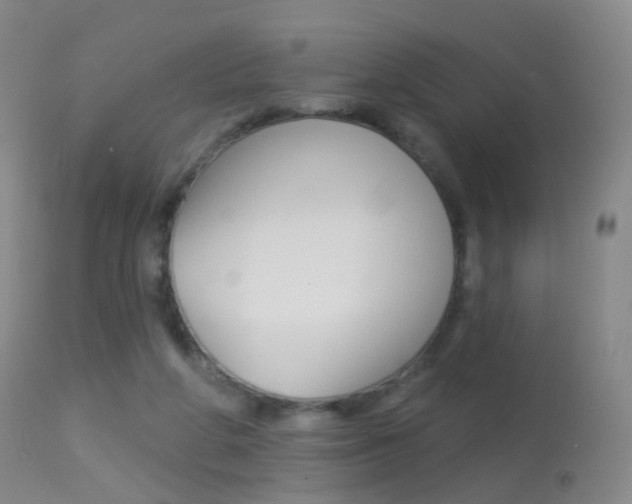 X0000113280210200909140949