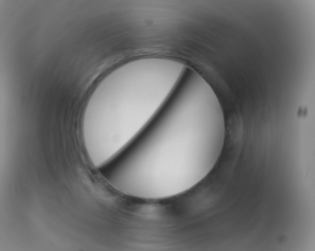 X0000113280212200909140949