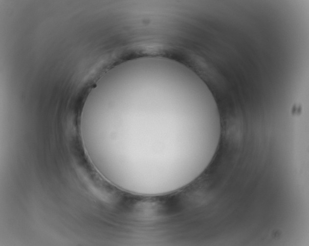 X0000113280213200909140949