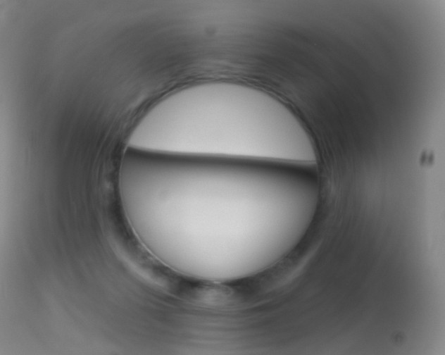 X0000113280215200909140949