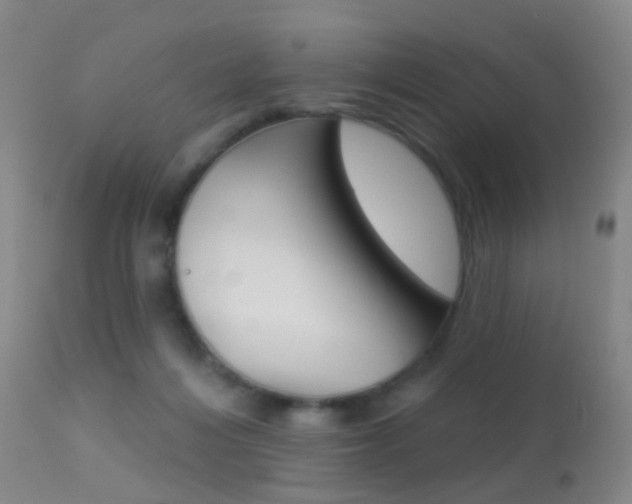 X0000113280216200909140949