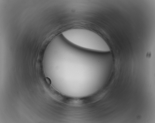 X0000113280217200909140949