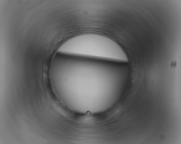 X0000113280219200909140949