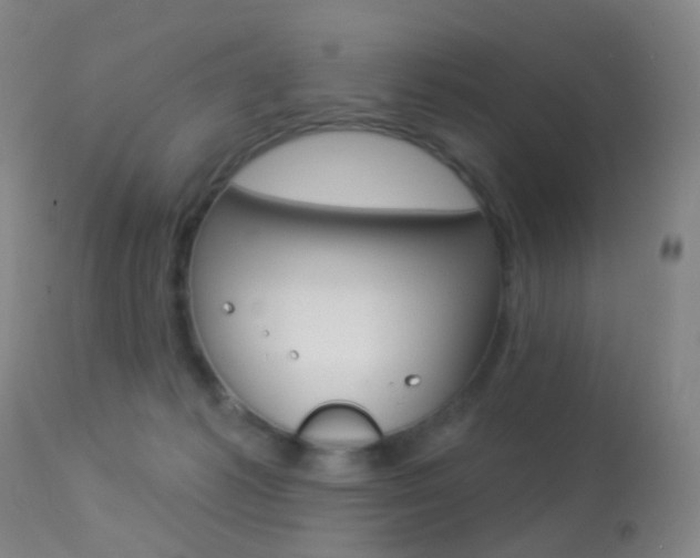 X0000113280221200909140949