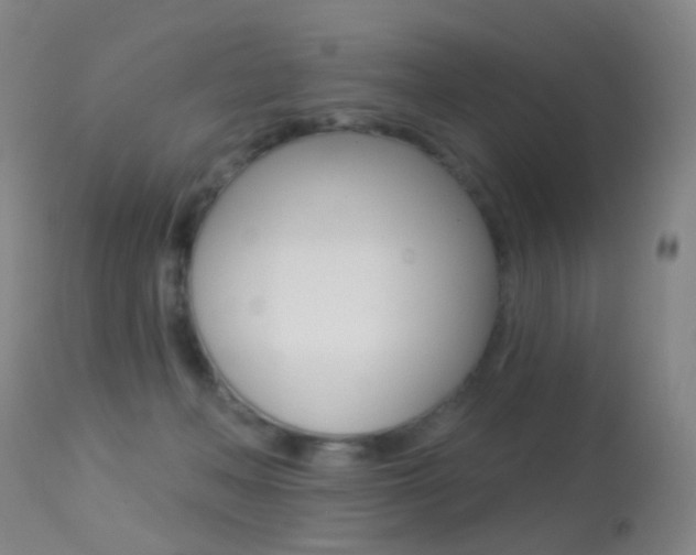 X0000113280222200909140949