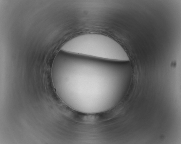 X0000113280225200909140949