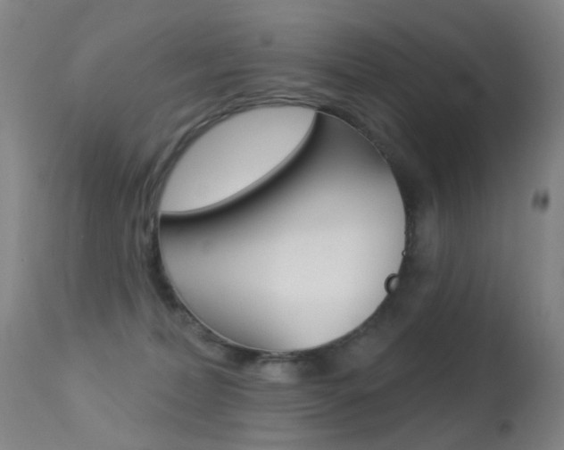 X0000113280228200909140949