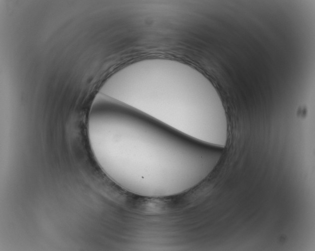 X0000113280229200909140948