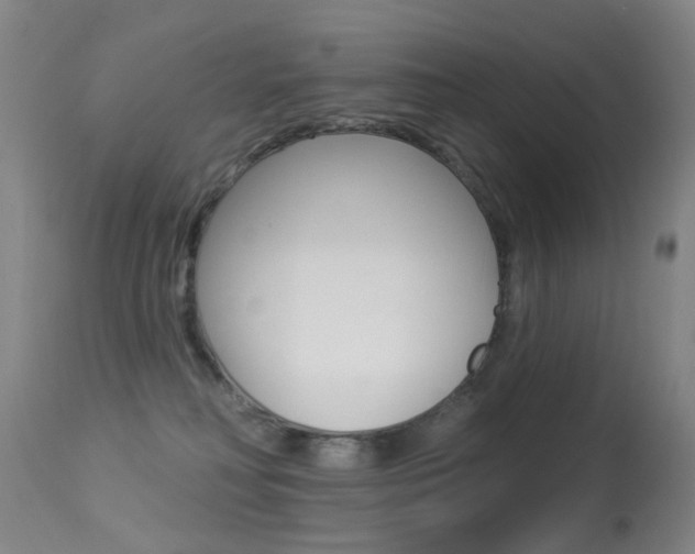 X0000113280230200909140948