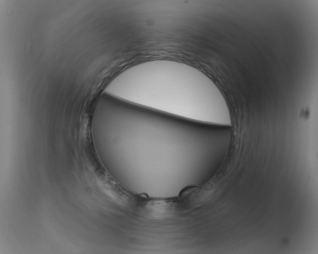 X0000113280231200909140948