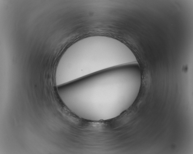 X0000113280233200909140948