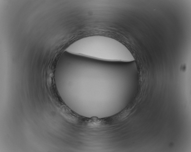 X0000113280235200909140948