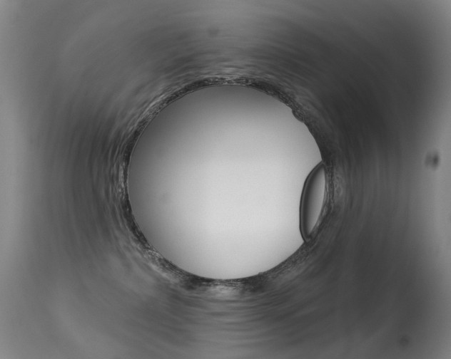 X0000113280236200909140948