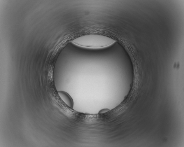 X0000113280240200909140948