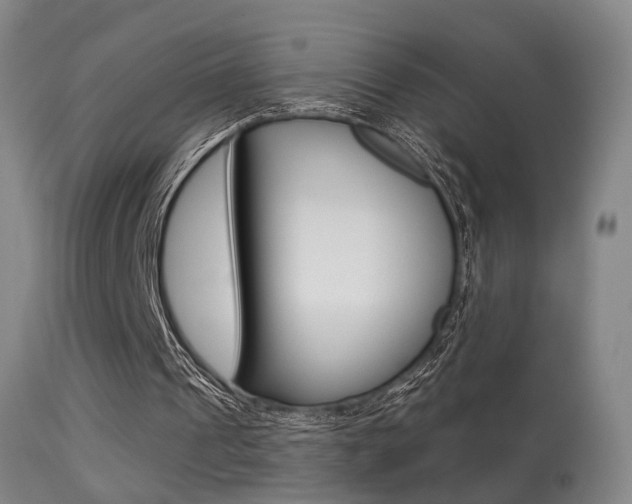 X0000113280241200909140948