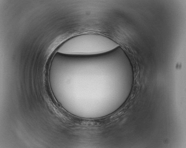 X0000113280242200909140948