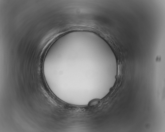 X0000113280243200909140948