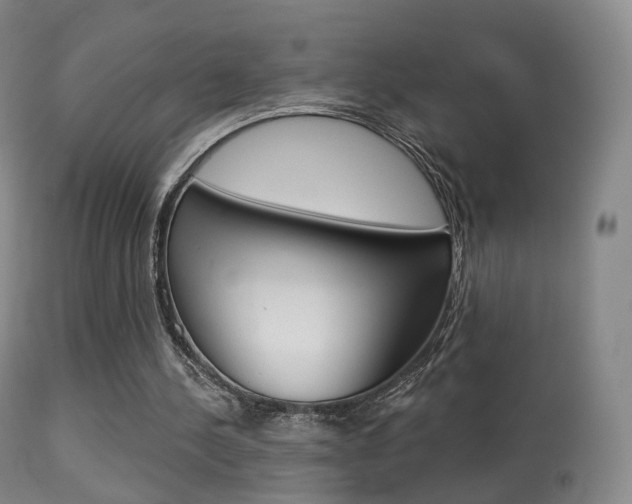X0000113280244200909140948