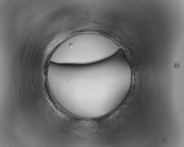 X0000113280245200909140948
