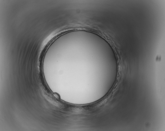 X0000113280246200909140948