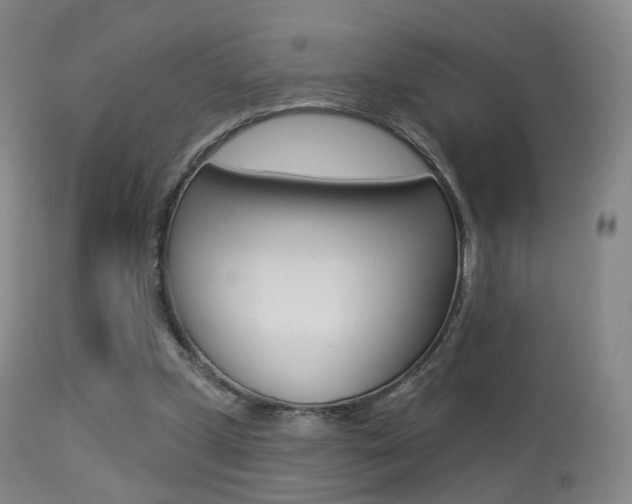 X0000113280249200909140948