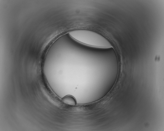 X0000113280250200909140948